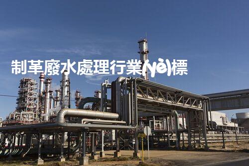 制革廢水處理行業(yè)標準深度解析！如何達標排放又兼顧經(jīng)濟效益？